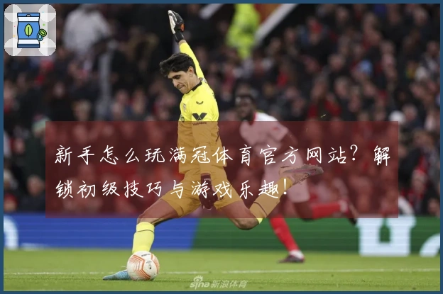 新手怎么玩满冠体育官方网站？解锁初级技巧与游戏乐趣！